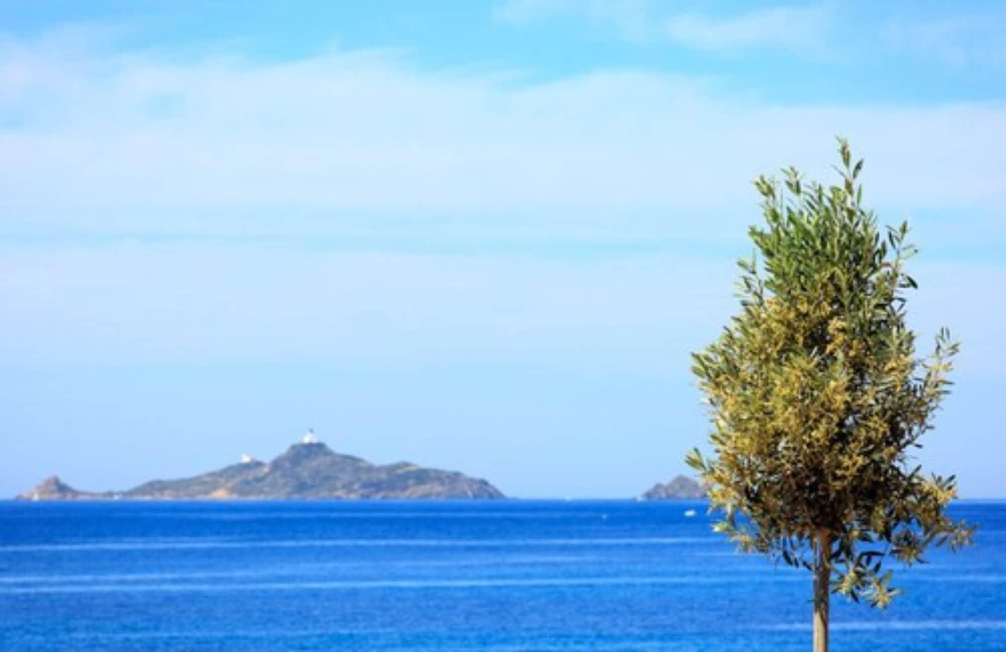 Hotel Cala Di Sole Ajaccio  Exterior photo